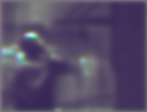MultiScale_model_running